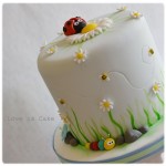 cake design - decorazione dolci torte e cupcake primavera (4)