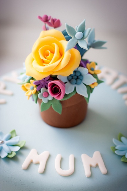82021 cartoncino spesso per cupcake 【Festa della mamma】 Cartone per torte per cucina domestica 