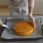 Ricetta torta delizia Dolce Cucinare Decorazioni Dolci (4)