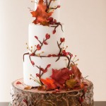 Torte cake design autunno (10)